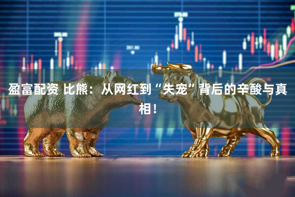 盈富配资 比熊：从网红到“失宠”背后的辛酸与真相！