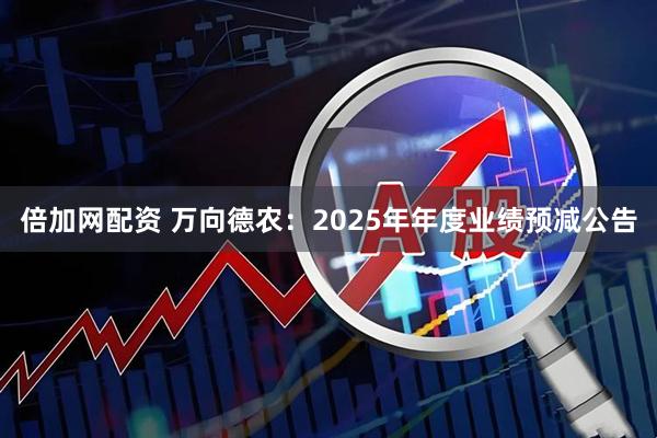 倍加网配资 万向德农：2025年年度业绩预减公告